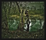 P1120428_hdr_panorama_ToneMapping klon cinema  zesvětlení.jpg